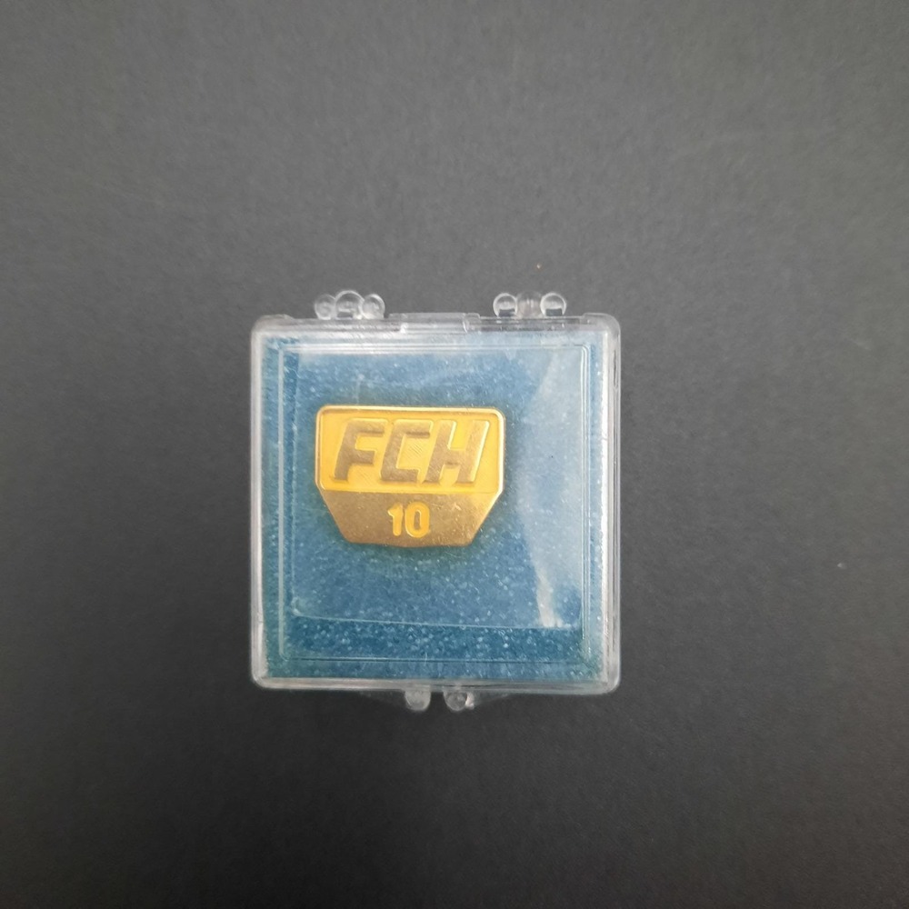 Fairmont Community Hospital Foundation‎ 10yr Employee Lapel Pin